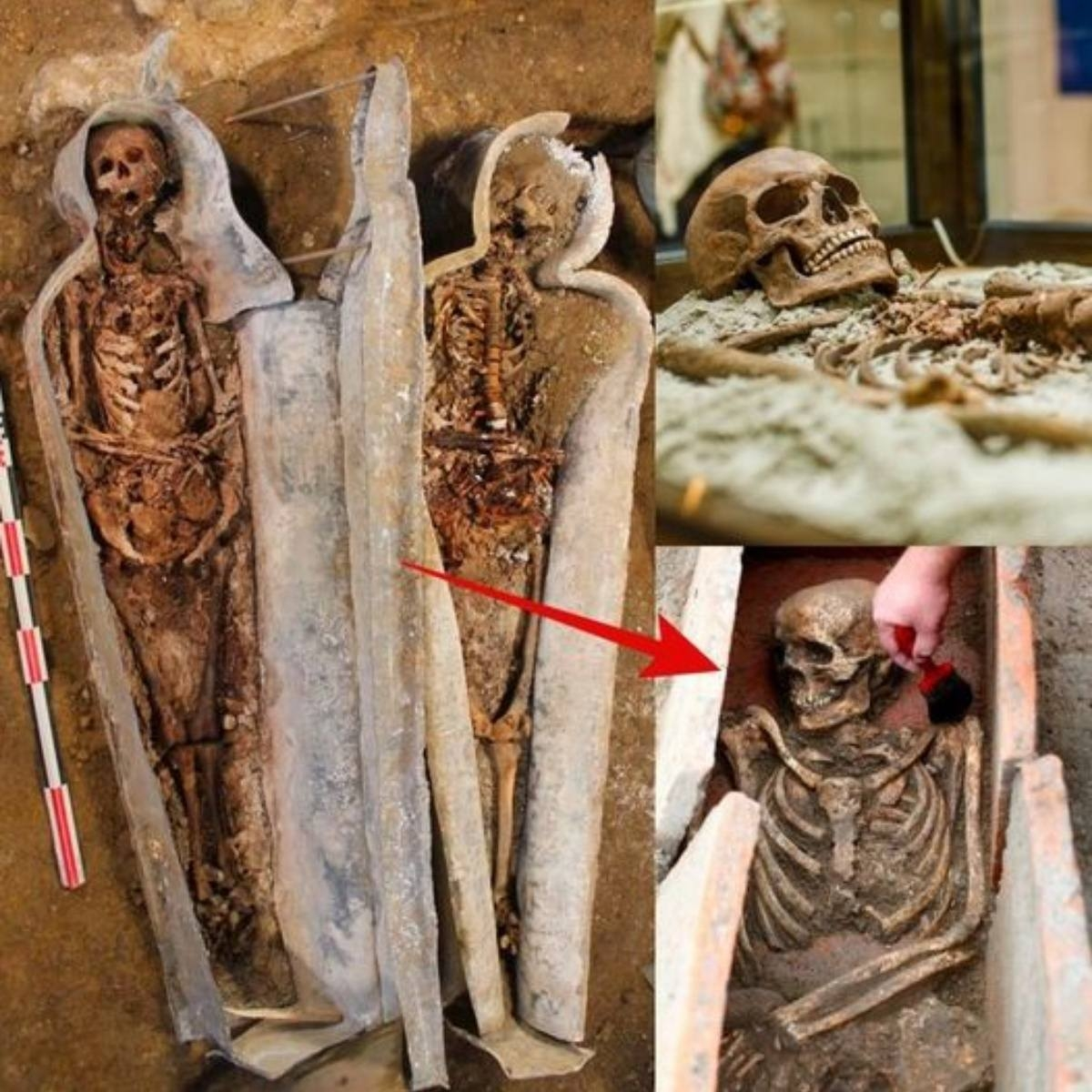 Un misterio descubierto: El cráneo seccionado encontrado en el ataúd de un caballero medieval bajo Notre Dame.