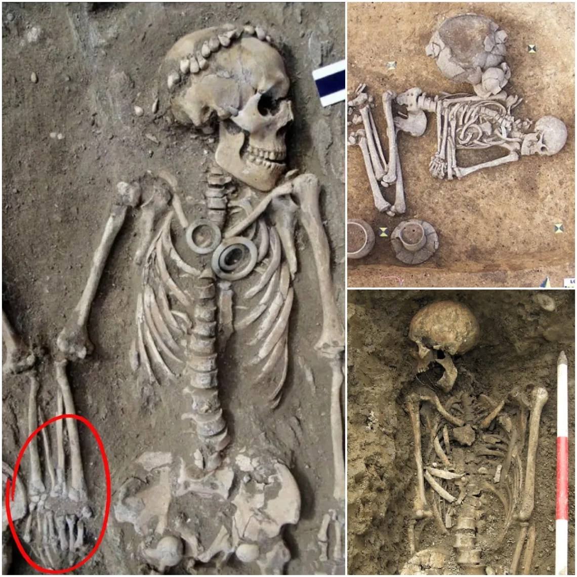 5,000 Años de Amor: El Misterio detrás de una Pareja con Anillos y Dagas de Jade