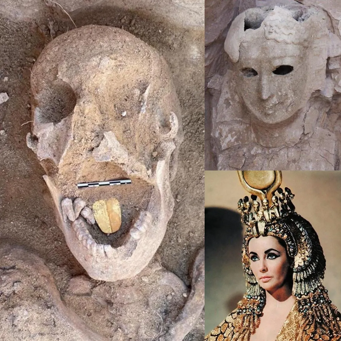 ¡Descubrimiento Asombroso! Una Momia Egipcia Única Enterrada con una Lengua de Oro Abre Nuevos Capítulos en la Historia Antigua. ¡Sumérgete en el Misterio!